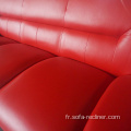 Séjour de sofa de style européen de beau design